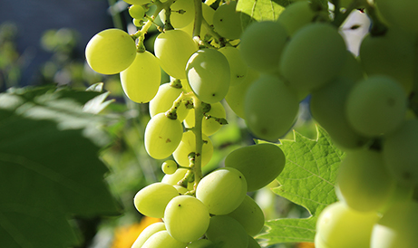 20230727135116 20230727135116