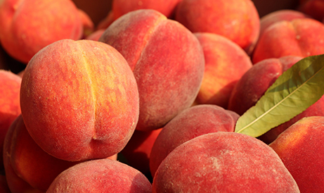 20230727135129 20230727135129