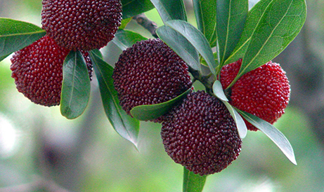 20230727135440 20230727135440