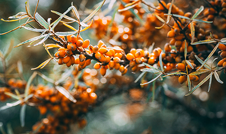 20230727135533 20230727135533