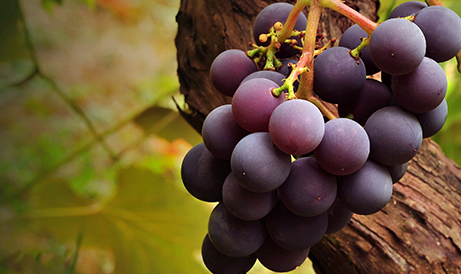 20230727141306 20230727141306