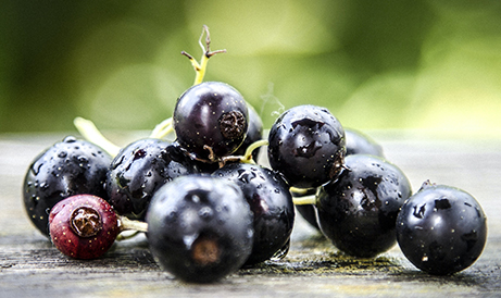 20230727141539 20230727141539