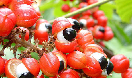 20230727141803 20230727141803