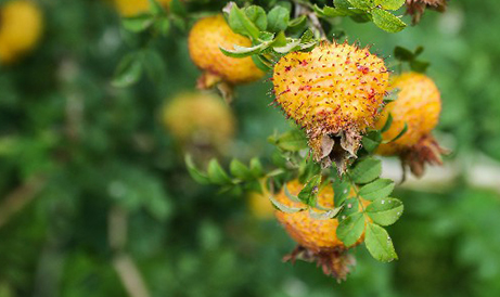 20230727142053 20230727142053