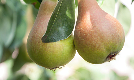 20230727142134 20230727142134