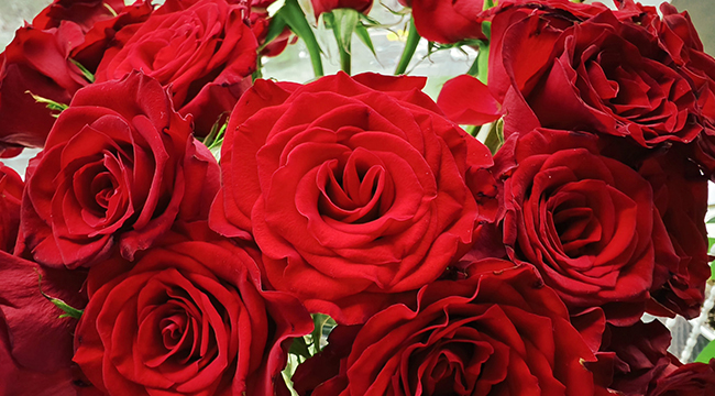 20250312090214 20250312090214