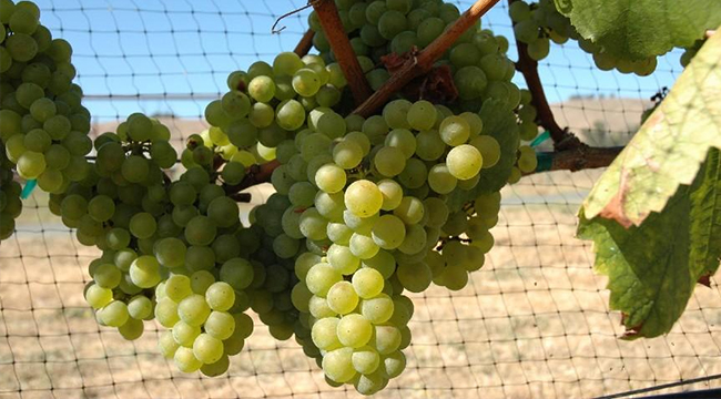 20250619134007 20250619134007