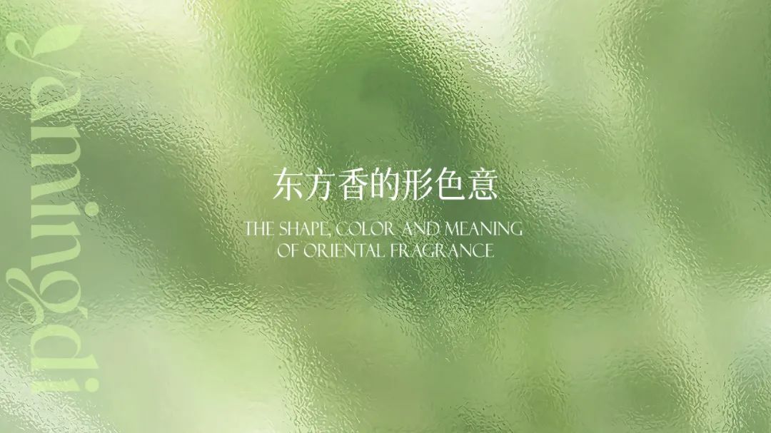 1704259757704129.jpg 1.jpg