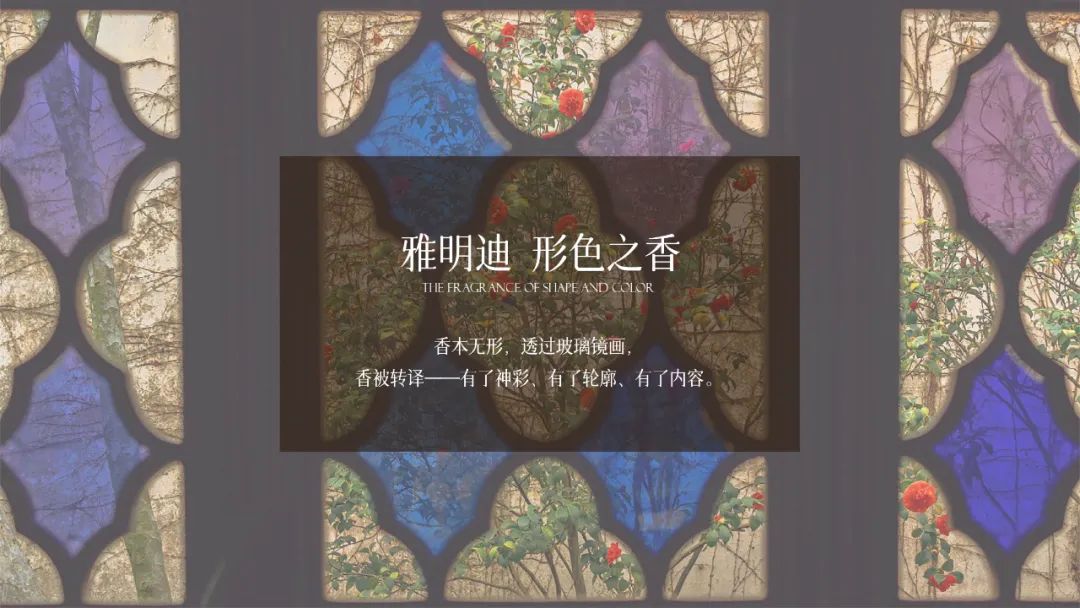 1704260051577271.jpg 3.jpg