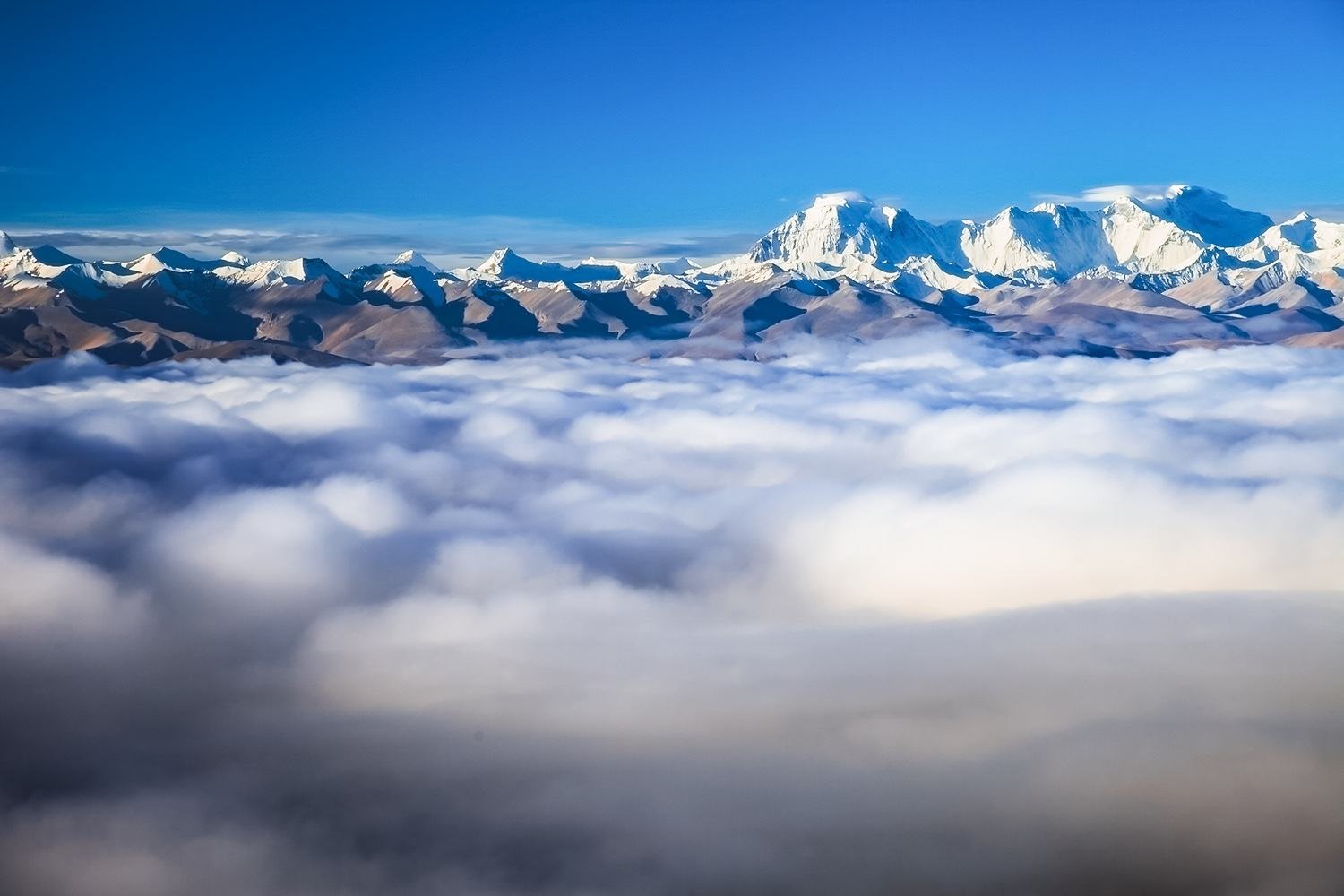 1725324455722374.jpg 微信图片_20240828094537.jpg