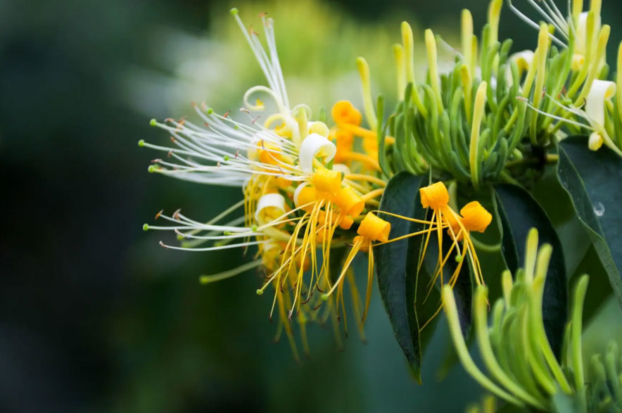 1730686584122197.jpg ΢ÐÅͼƬ_20241104101505.jpg