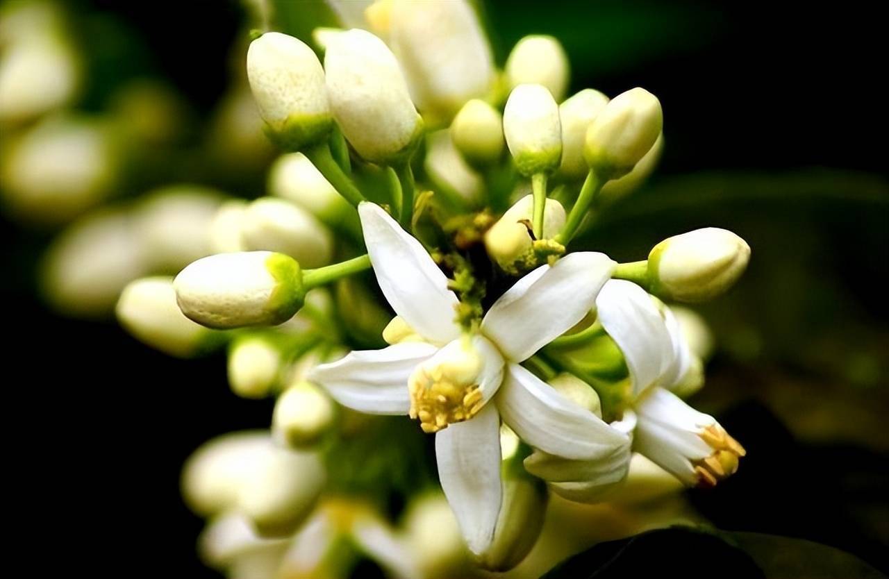 1735086810847984.jpg ΢ÐÅͼƬ_20241216101908.jpg