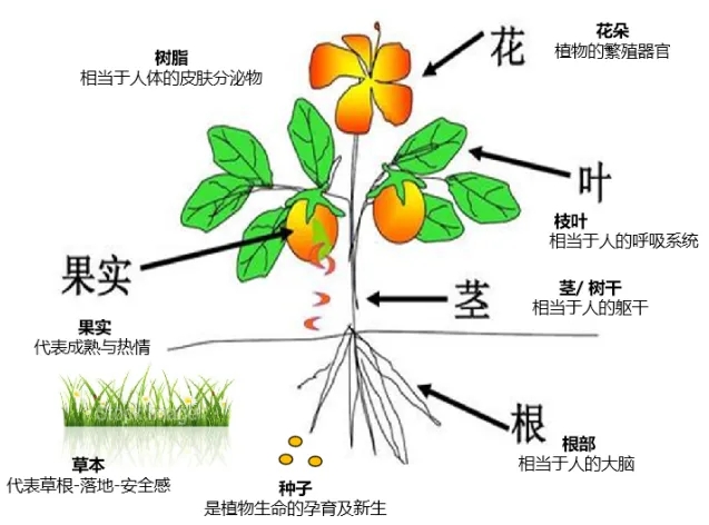 1747270190940158.jpg ΢ÐÅͼƬ_20250515084733.jpg