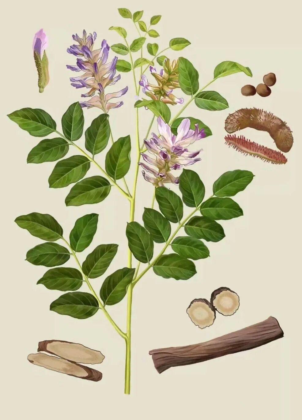 1769390855116788.jpg 4d4e48c30706f31fe1f693a1e6cace9f.jpg